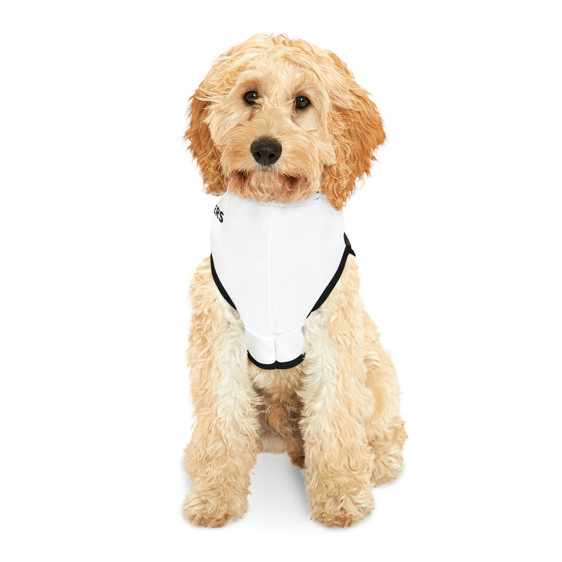 Doggie Hoodie