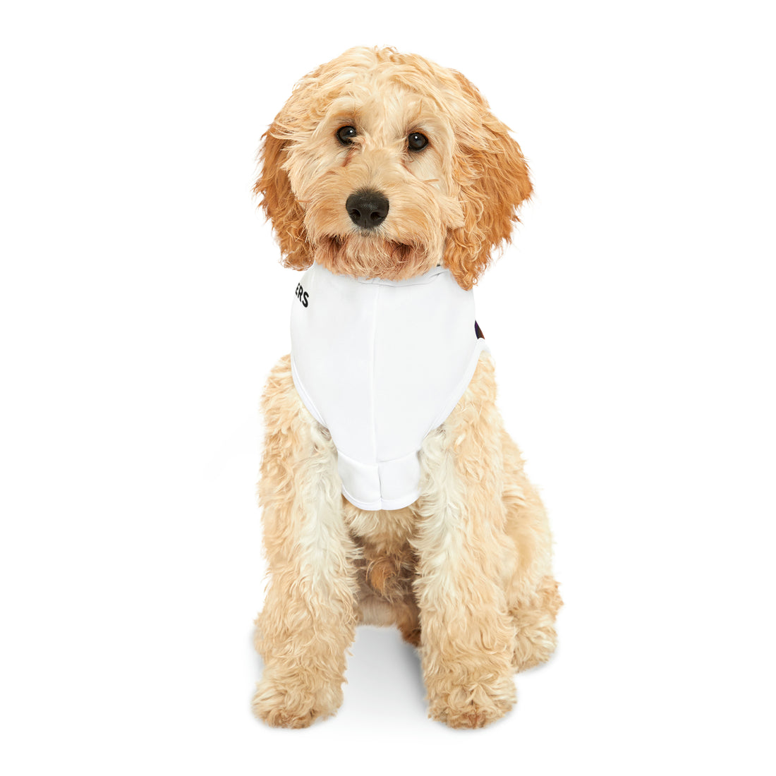 Doggie Hoodie